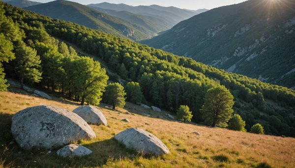 Séjour au cœur de la nature sauvage dans les cévennes